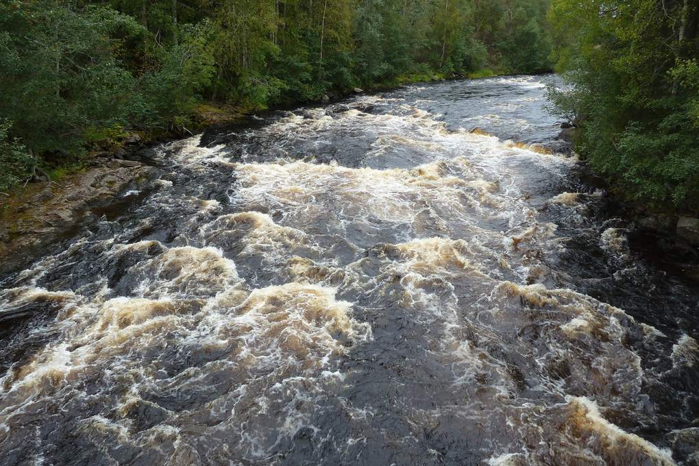 Stenigt och forsande parti av Moälven i skog nära Gottne