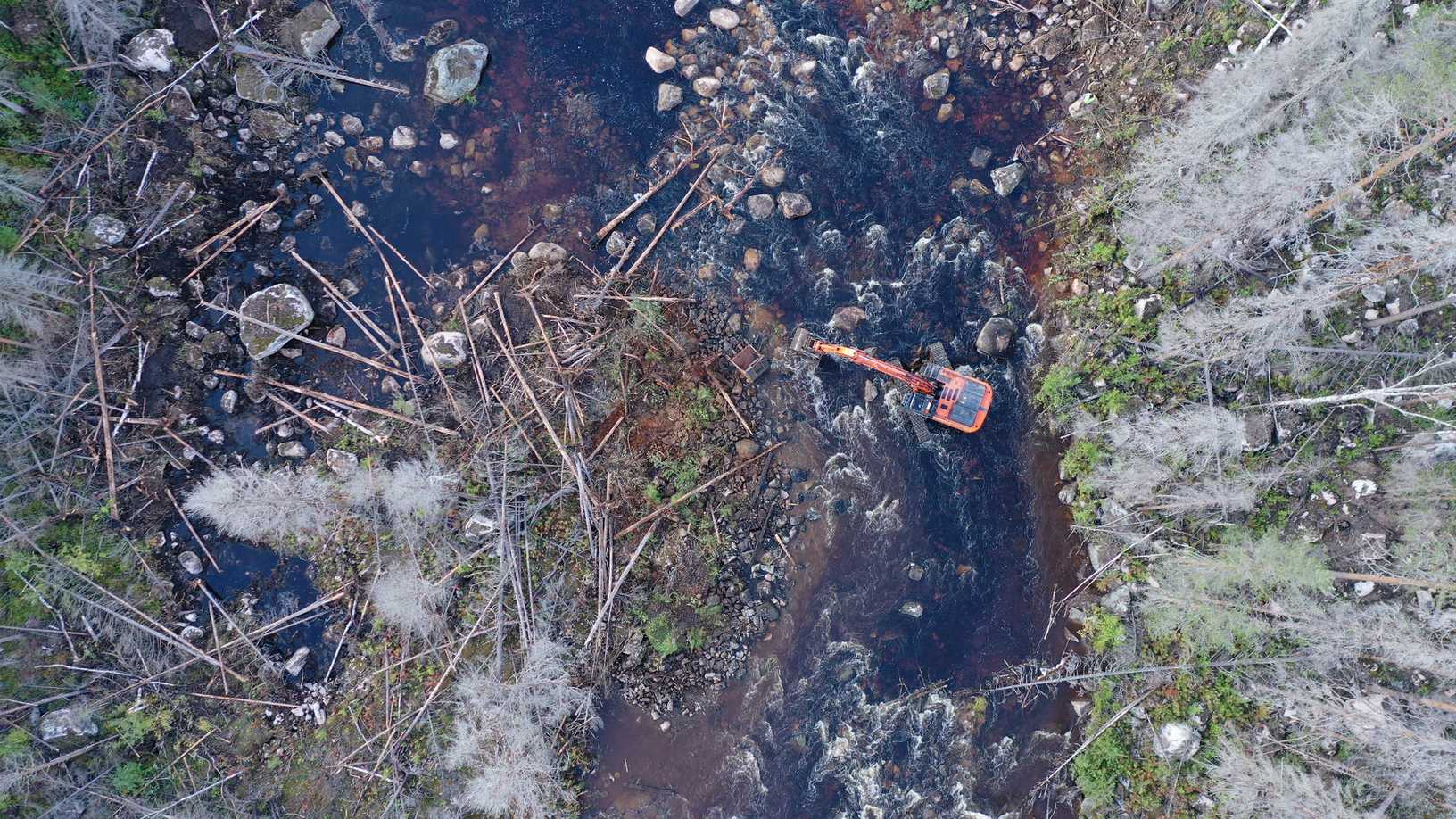Flygbild över en slingrande älv genom höstskog i Norrland