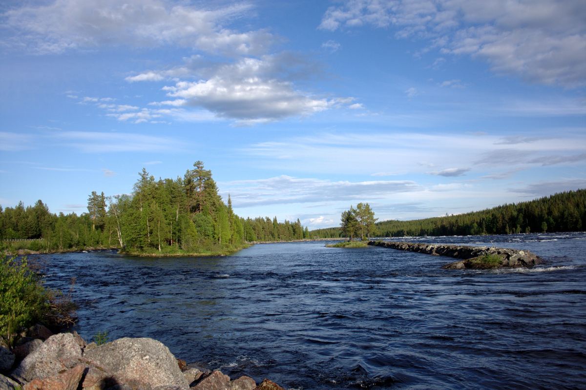 Lugnvatten och fors i Beukaforsen, omgiven av norrländsk skog