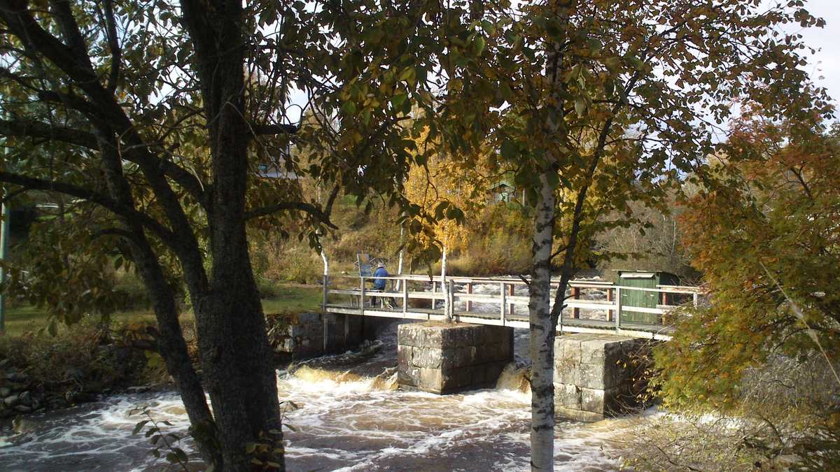 Utriven damm i Gådeån där vattnet åter rinner fritt genom skogen