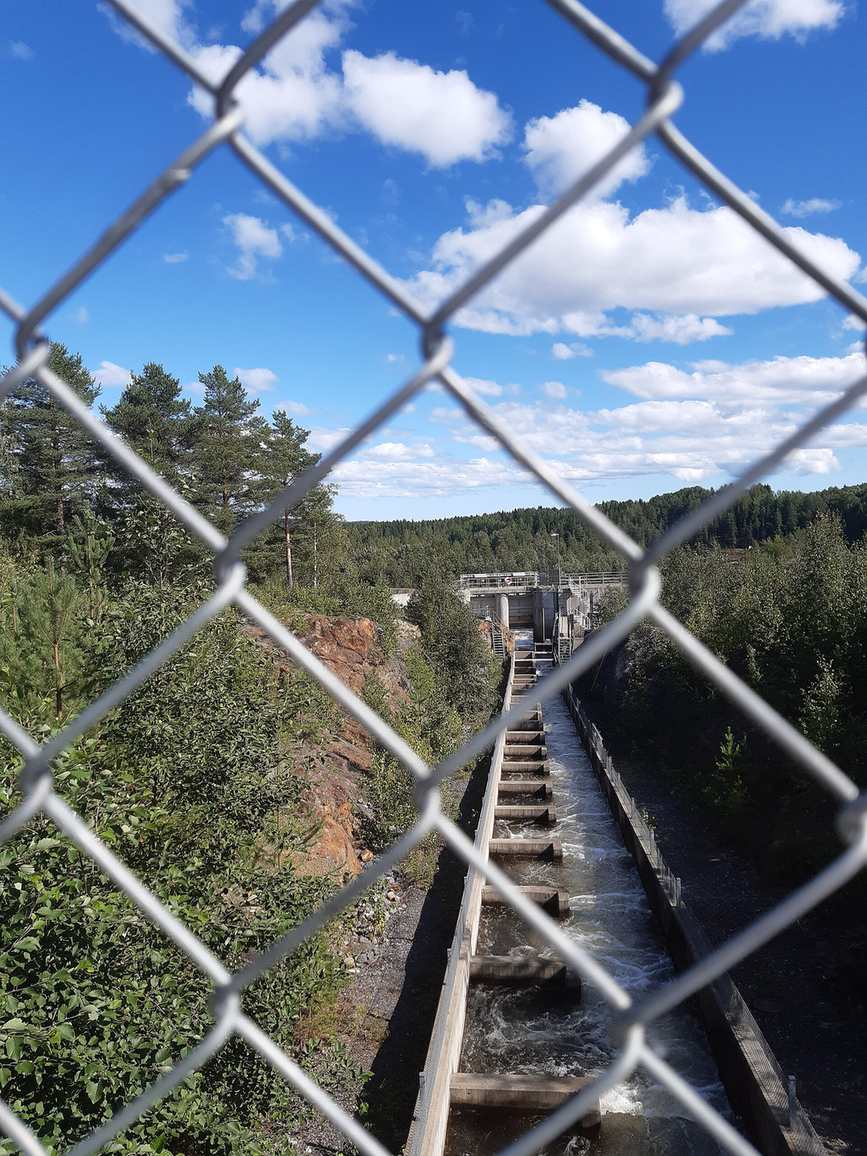 Laxtrappa i betong vid Stornorrfors i Umeälven